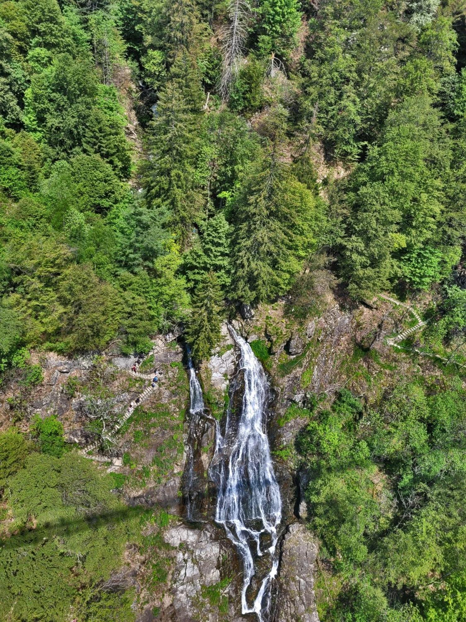 Вилла Schwarzwaldhaus Sonnenstrasse, Oberried-Hofsgrund, Dreisamtal Оберрид Экстерьер фото